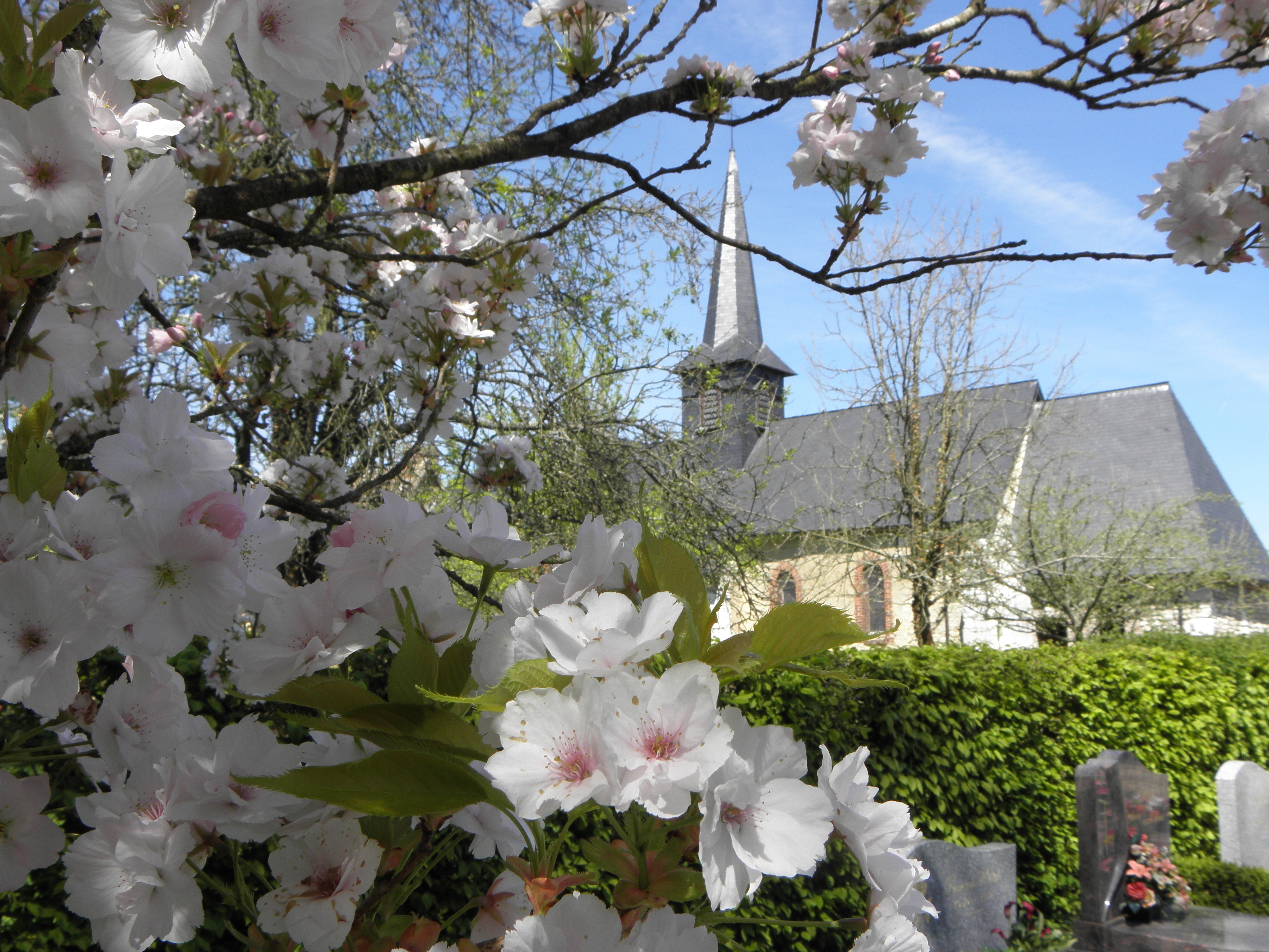 cimetière Saint-Martin la corneille