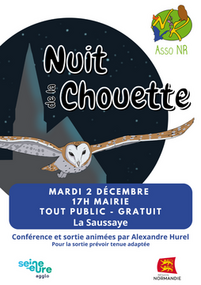 Nuit de la chouette