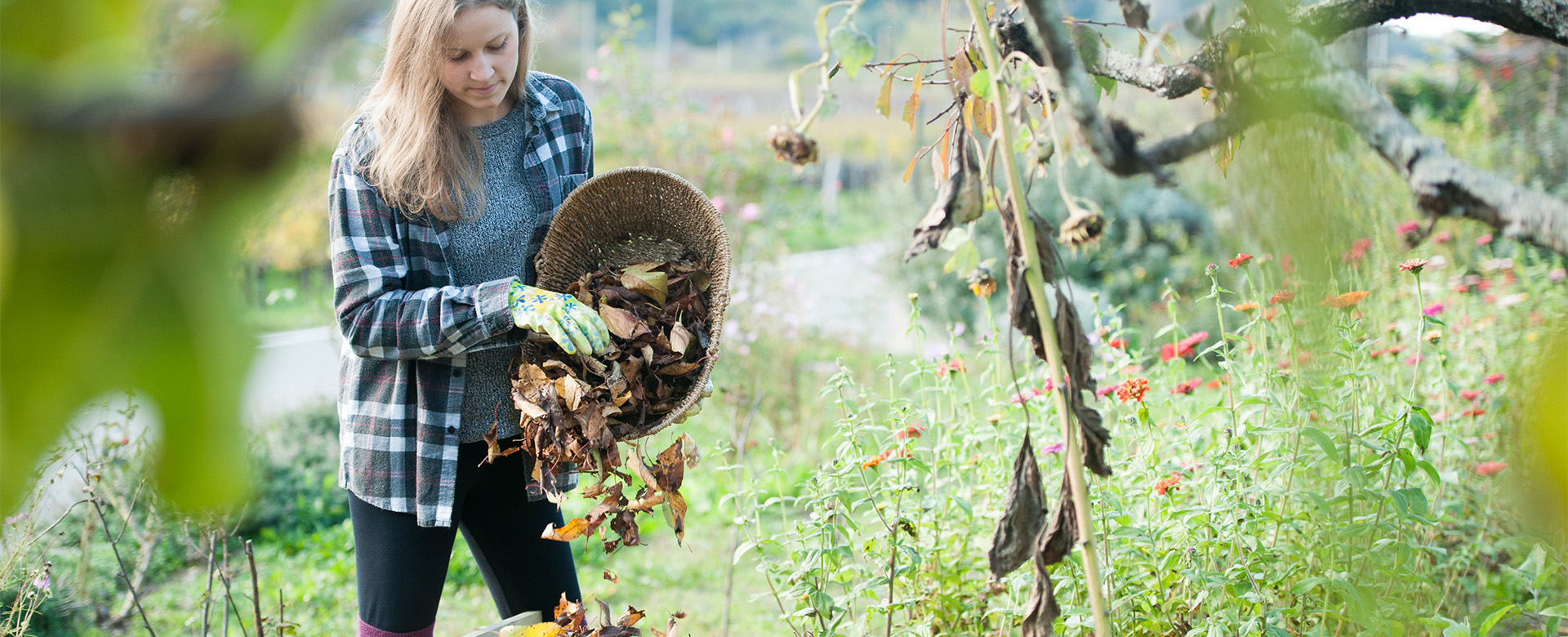 compost