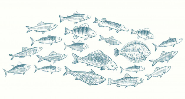 illustration-poisson-esquissee-main-banniere-vie-sous-marine-pour-menu-du-restaurant_53562-10183