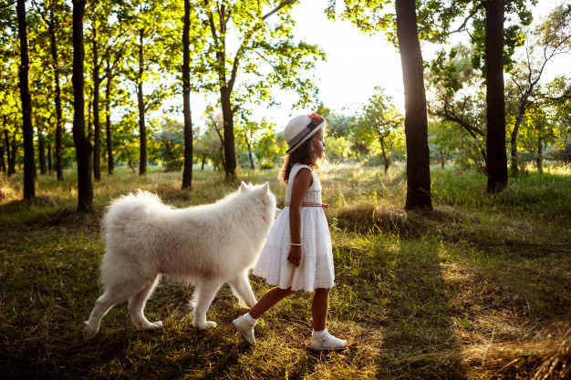 jeune-fille-marchant-jouant-chien-dans-parc-au-coucher-du-soleil_176420-5675