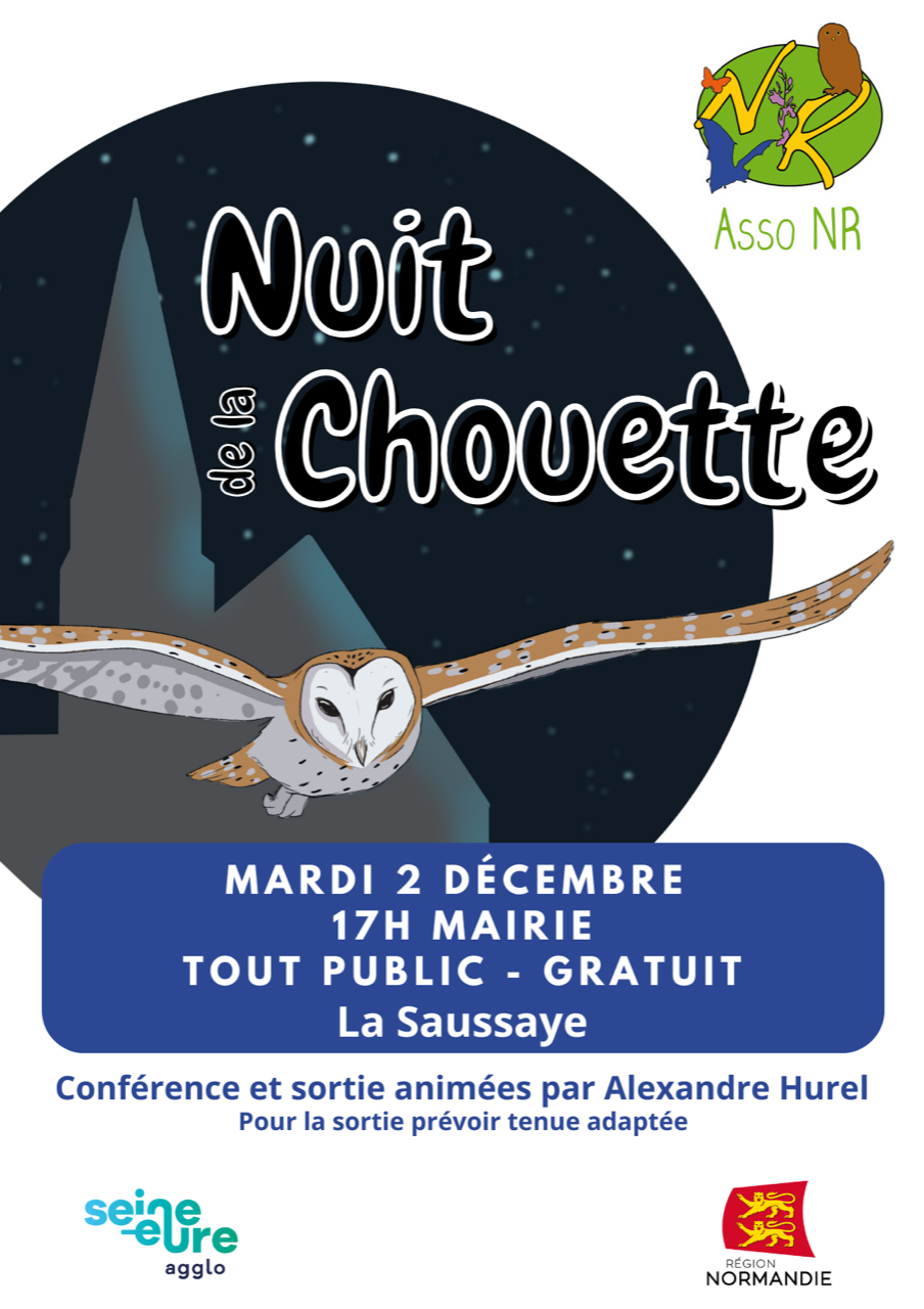 nuit de la chouette