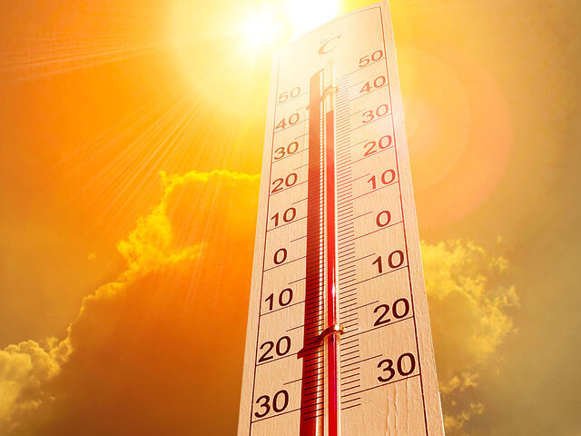 canicule