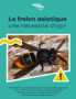 Frelon asiatique page 1